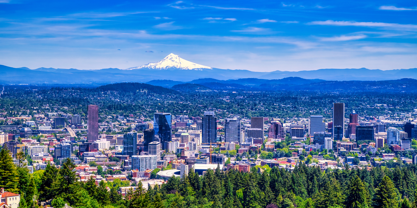 Looking for a digital marketing agency in Portland